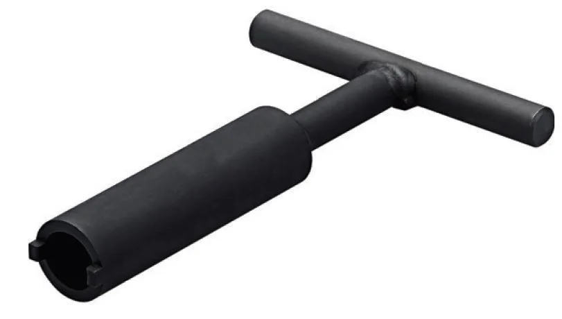 alicon1-2839683