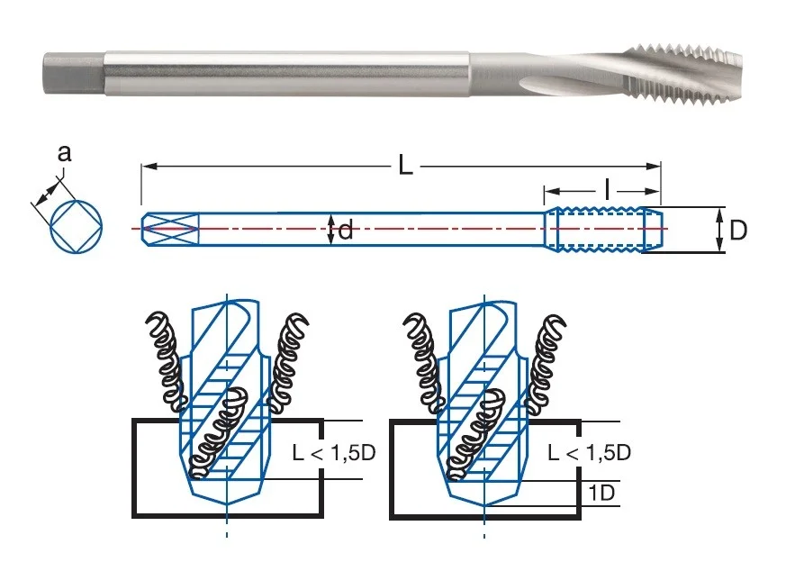 alicon1-2942832