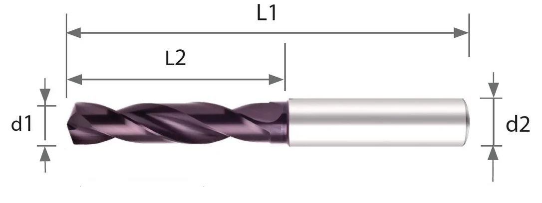alicon1-2989585