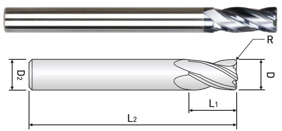 alicon1-3137333