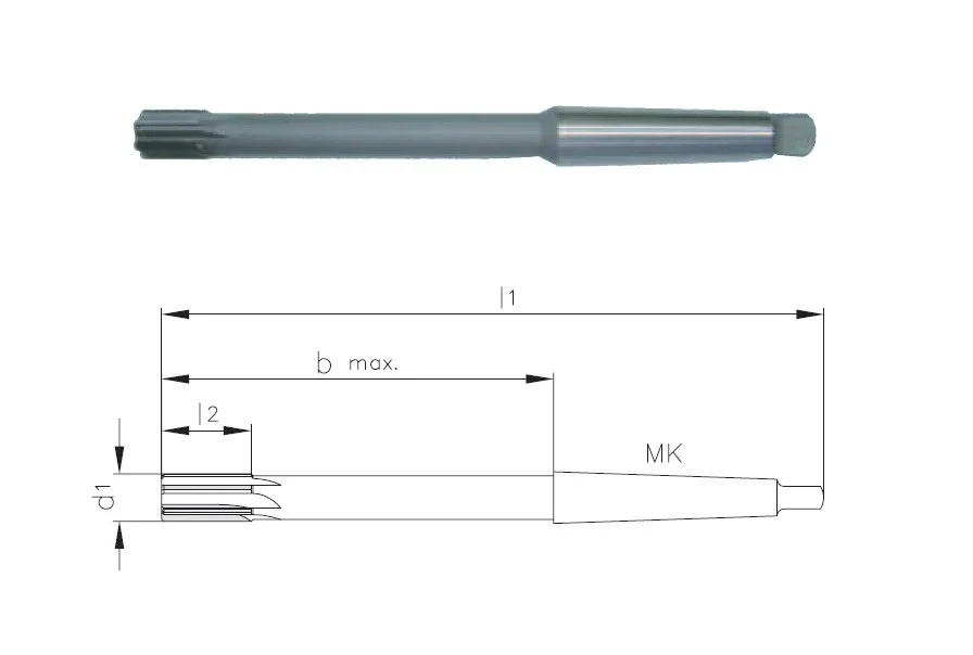 alicon1-3223927