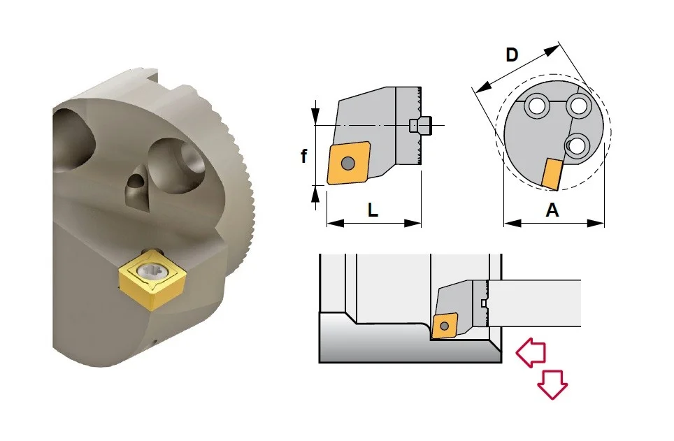 alicon2-2878526