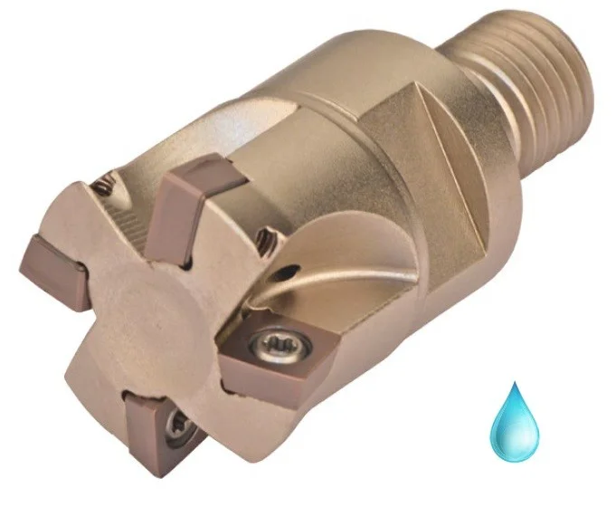 alicon2-2902508