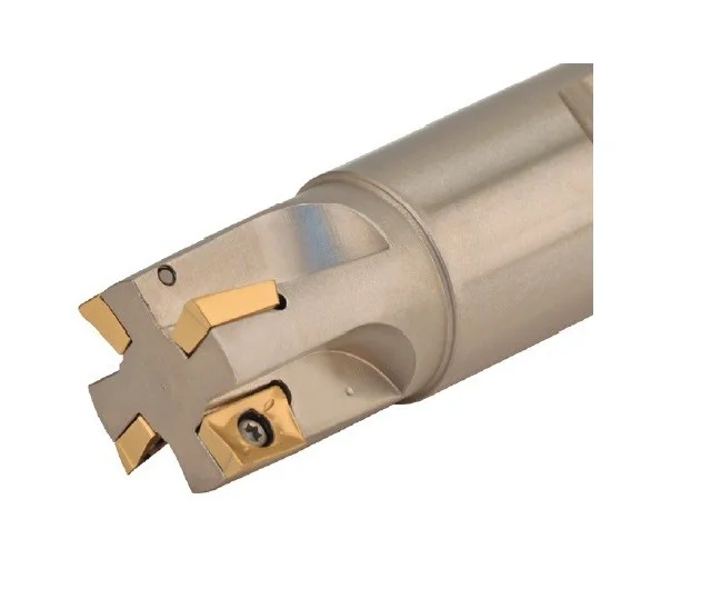 alicon2-2914848