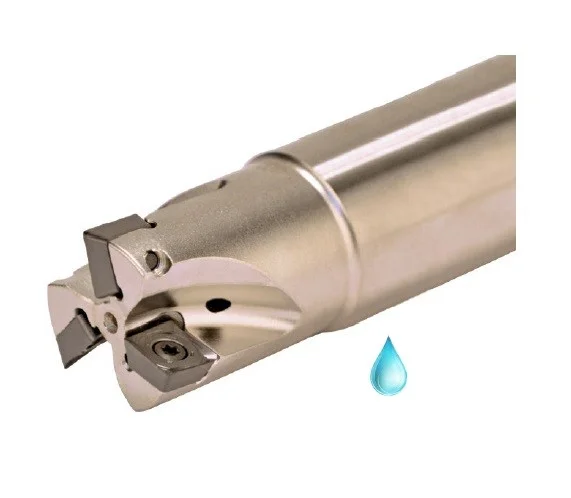 alicon2-2921893