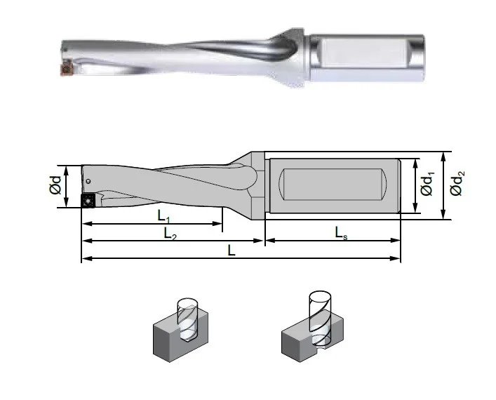alicon2-3013869