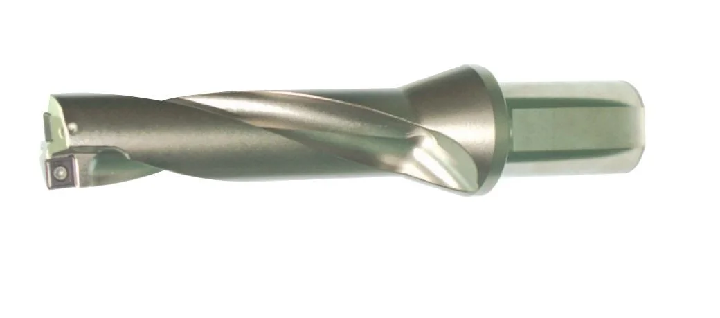 alicon4-2915448