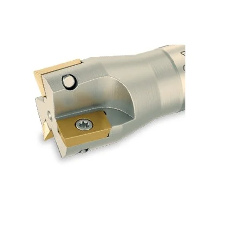alicon4-3082567