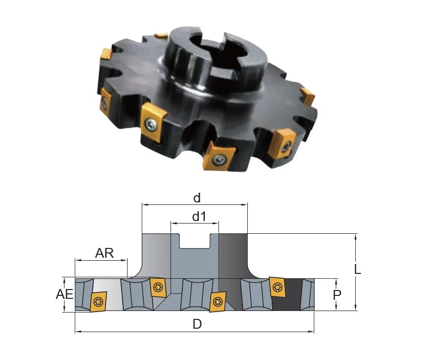alicon5-2887081