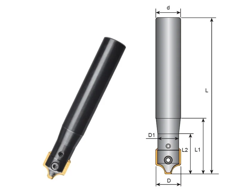 alicon5-2895328