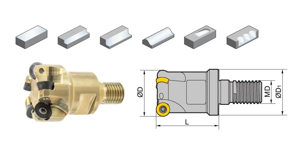 alicon5-2916678