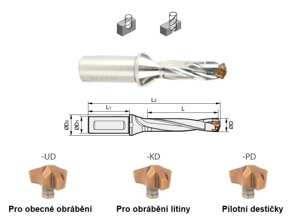 alicon5-3021239
