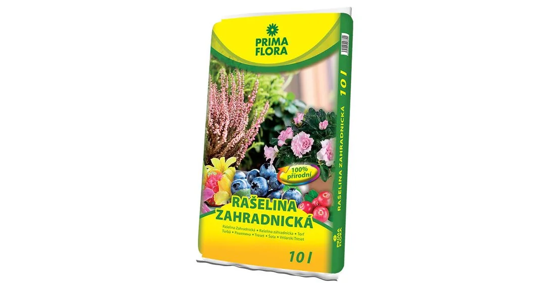 doktorkladivo-2985341
