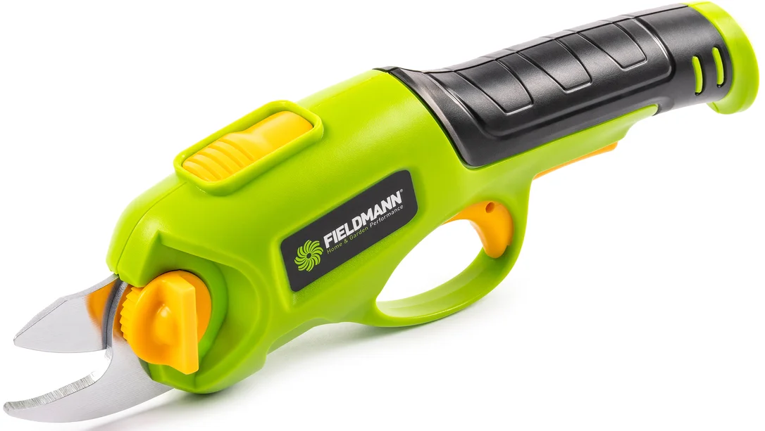 fieldmann-3016354