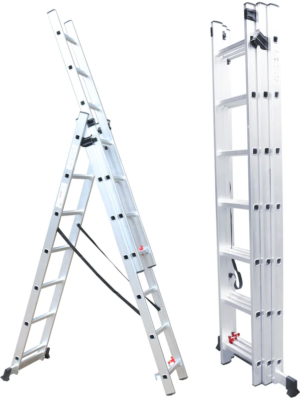 fieldmann-3018584