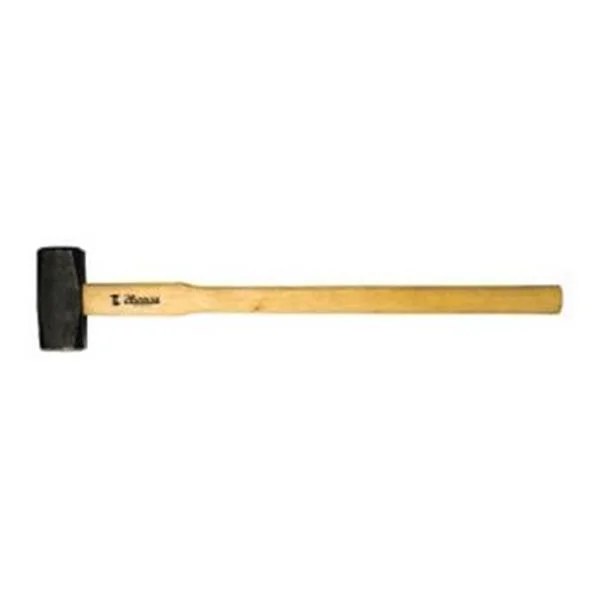 landsmann1-3073487