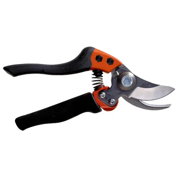 landsmann1-3323475