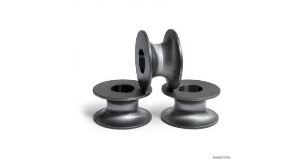 peddy-2938176