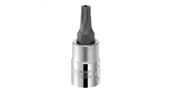 peddy-2954634