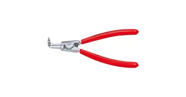 peddy-2994765