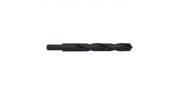 peddy-3009025