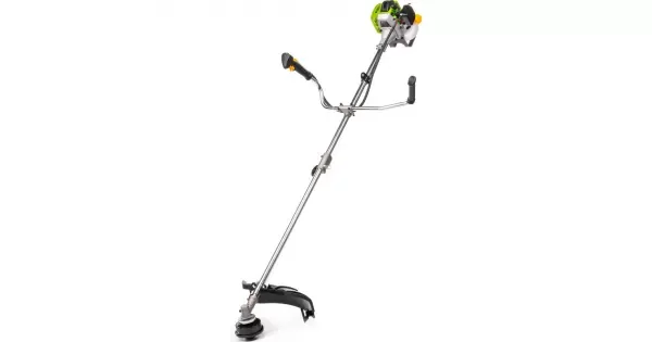 peddy-3053410