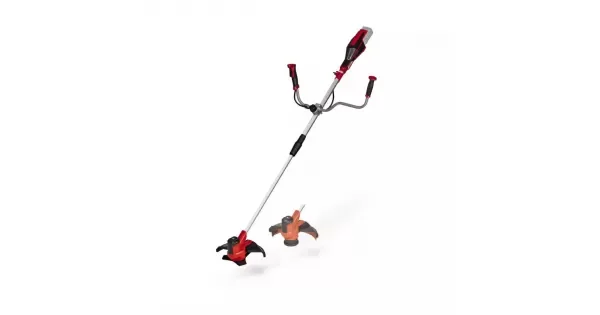 peddy-3054015