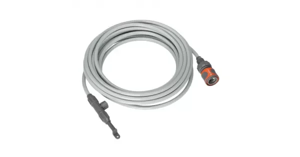 peddy-3055083