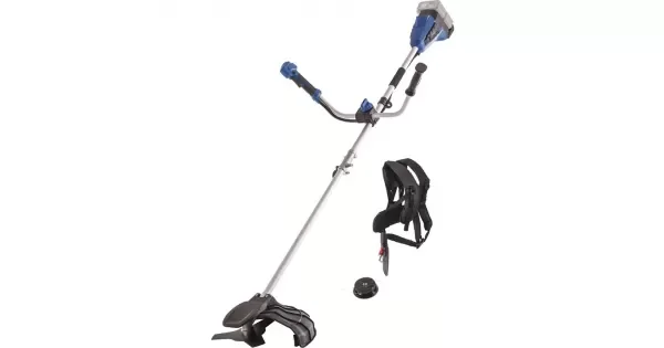 peddy-3056426